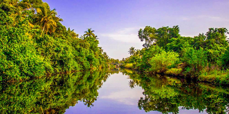 කාදිනල් හිමිට ආණ්ඩුවෙන් උත්තරයක් (VIDEO)
