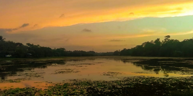 අගනුවර කැලෑව අධිවේගයට යටවෙයිද?