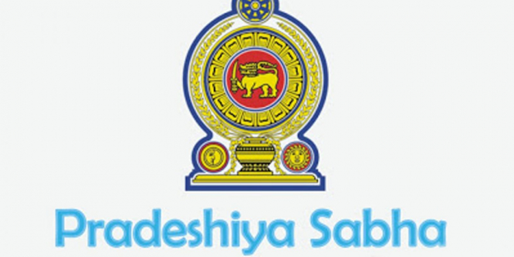 සභාපතිවරුන් දෙන්නෙක් පන්නයි