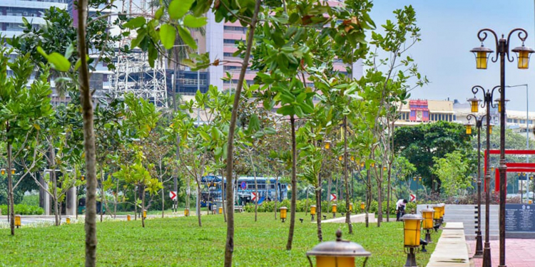 ගෝල්ෆේස් එක ළඟ වන උද්යානයක්: ආපන ශාලා සංකීර්ණයක් (PHOTOS)