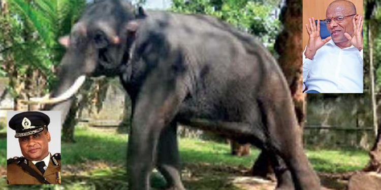 බෙල්ලන්විල ඇතාත් අරන් නාගානන්ද පොලිස්පතිතුමා ළගට යයි