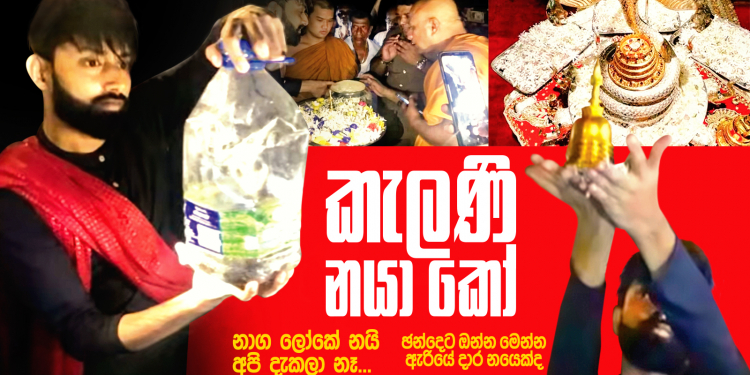 කැලණි නයා කෝ..?