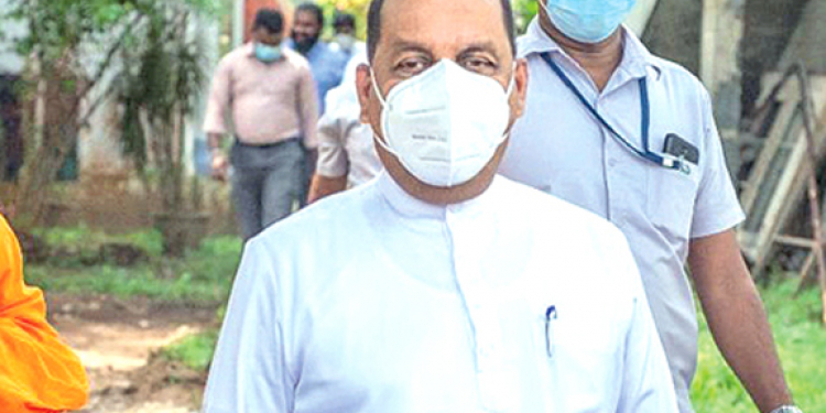 වාර්තාවක් නිසා අමරවීර අලි අමාරුවක