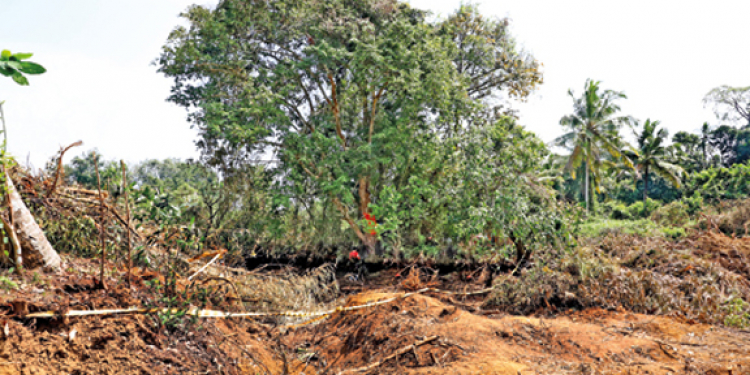 ලෝකෙටම එකයි: ඒකත් ඉවරයි: ගහ බේරගන්න දේවානිලාට පුළුවන් වෙයිද?