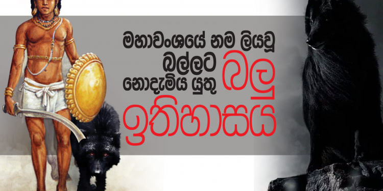 මහාවංශයේ නම ලියවූ බල්ලට නොදැමිය යුතු බලු ඉතිහාසය