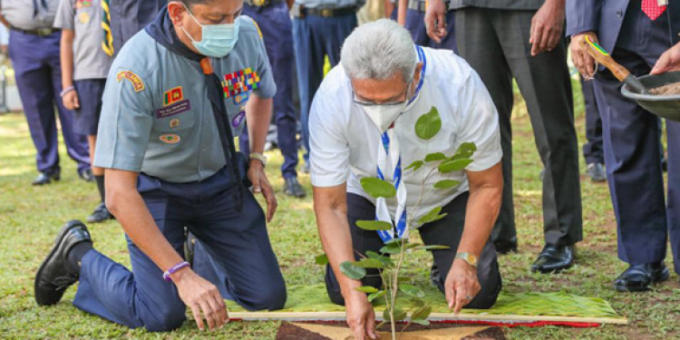 පවල් සාමි සිහි කර ජනපති රත්හඳුන් පැළයක් සිටුවයි