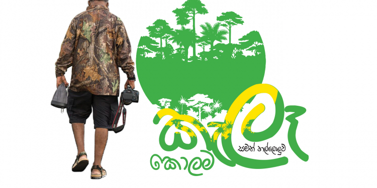 කොහෙවත් නැති මකරයේ සිරි