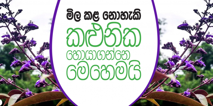 මිල කළ නොහැකි කළුනික හොයාගන්නෙ මෙහෙමයි