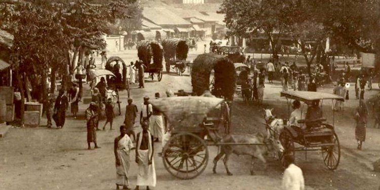 රාමුව ඉවත් කළ රැකියා නිදහස