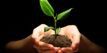 ජීවිතය දිනවල වෘක්ෂයක සැඟවුණු බලය