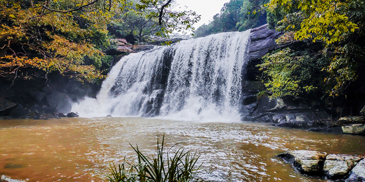 දුම්බර පෙතේ සේරු රජදහන