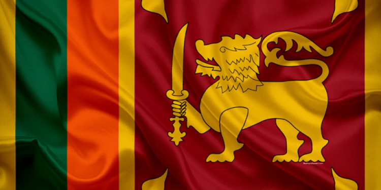 සිංහ කොඩියේ සිංහයා වෙනස් කරන්න යයි