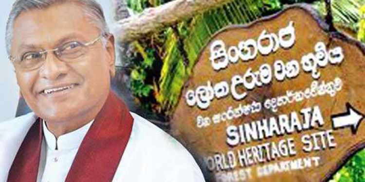 චමල්ගේ කටින් පැන්න මොකද්ද මේ සිංහරාජේ වැව් දෙක