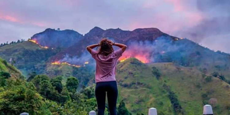 ඇල්ලේ ගින්නෙන් අක්කර 100ක් දැනටමත් විනාශයි: නිවන්න විදිහක් නැතිලු