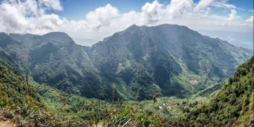 මහවැලිය පුරවන දුම්බර