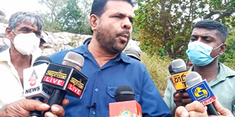 ජවිපෙ හොරෙන් කපා දමන තවත් කැලෑවක් හොයා ගනී (VIDEO)
