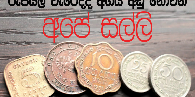 රුපියල වැටෙද්දී තුට්ටුව අහස උසට නගී