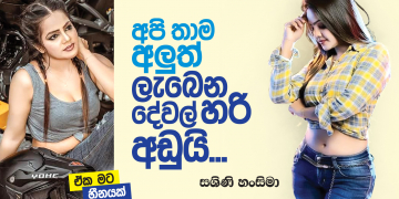 අපි තාම අලුත්; ලැබෙන දේවල් හරි අඩුයි
