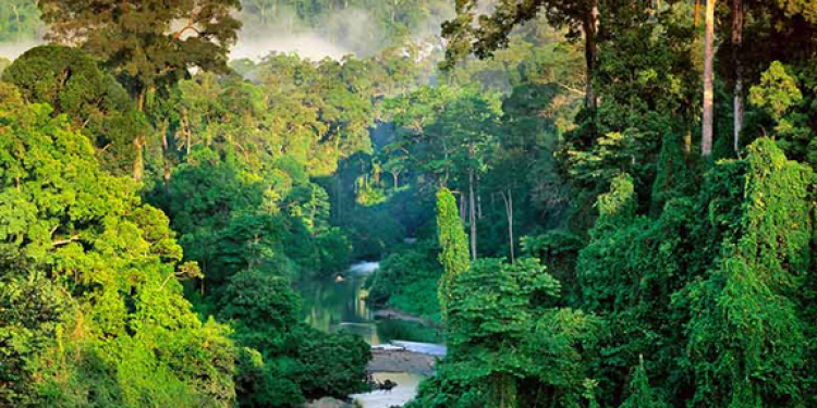 චමල්ගේ වැව් දෙකේ කතාව පත්තු වෙයි: සිංහරාජය යුනෙස්කෝ ලෝක උරුමයෙන් ඉවතට!