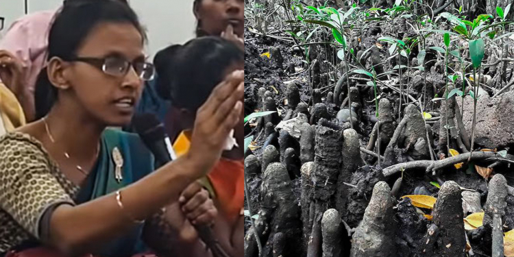 දේවානිලාගේ කඩොලාන සටන නාට්යයක්ද? (සංවාදයට විවෘතයි)