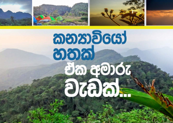 කන්‍යාවියො 7ක්; ඒක අමාරු වැඩක්