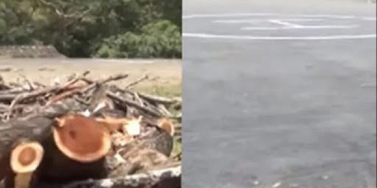හෙලිකොප්ටරේ බාන්න දැවැන්ත ගස් කපලා: අනේ කතරගම දෙවියනේ කතරගම බේරගන්න