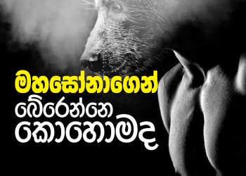 මහසෝනාගෙන් බේරෙන්නෙ කොහොමද
