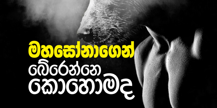 මහසෝනාගෙන් බේරෙන්නෙ කොහොමද