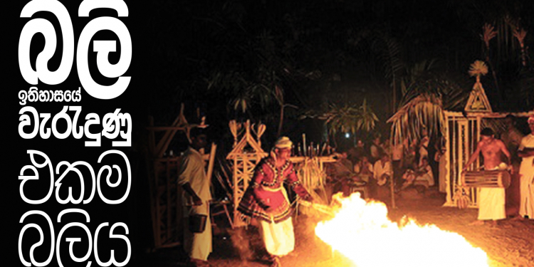 බලි ඉතිහාසයේ වැරැදුණු එකම බලිය