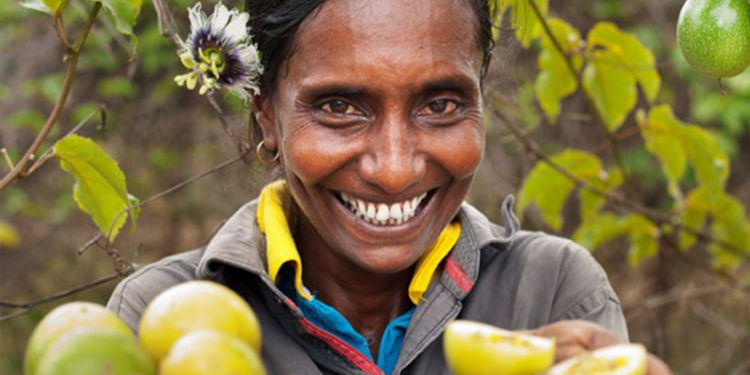 ගොවියා කැටුව පෙරට යන DPGV