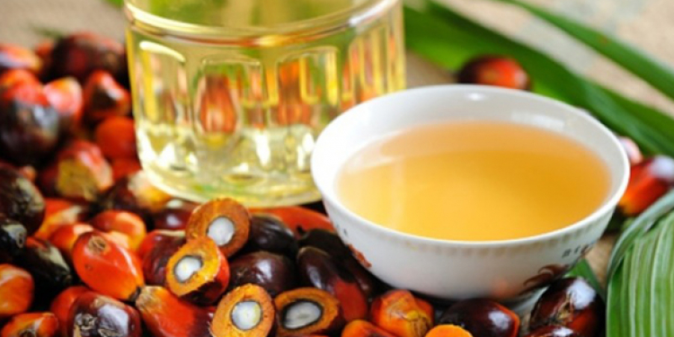 ජනපතිගේ පාම්තෙල් තහනමට උඩින් අගමැතිගෙන් අලුත් ගැසට් එකක්