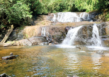 අලුත් පාරේ සිරි විඳිමු සිංහරාජේ