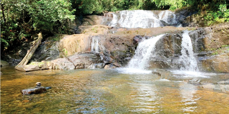 අලුත් පාරේ සිරි විඳිමු සිංහරාජේ