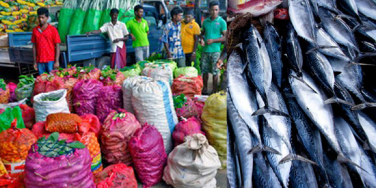 ගොවීන් හාන්සියි: දඹුල්ලේ එළවළු කිලෝ ලක්ෂ 26ක්-පෑලියගොඩ මාළු තොග පිටින් ඉතුරුයි