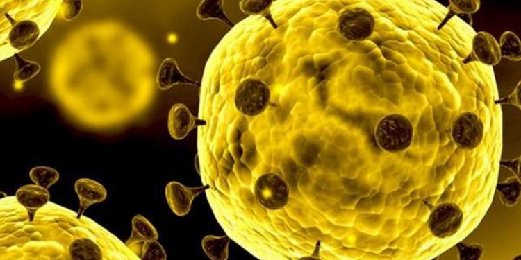 පළමු වතාවට දිනක රෝගීන් 3000 පන්නයි