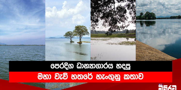 පෙරදිග ධාන්‍යාගාරය හදපු මහා වැව් හතරේ හැංගුනු කතාව