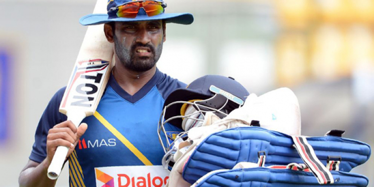 තිසරට ක්‍රිකට් එපා වෙයි