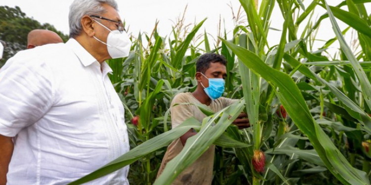 ගෝඨා’ස් WAR II (විමලසිරි ජයලත්ගේ රටේ පැත්ත)