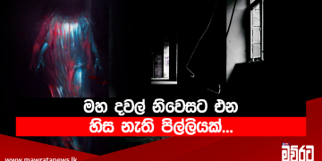මහ දවල් නිවෙසට එන හිස නැති පිල්ලියක්