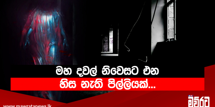 මහ දවල් නිවෙසට එන හිස නැති පිල්ලියක්