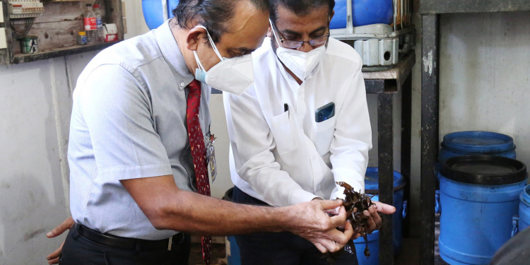 ‘සාරභූමි’ ණය පිරිනැමීමට මහජන බැංකුවේ සභාපති නිරීක්ෂණ චාරිකාවක