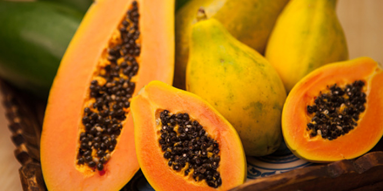 2019දි මිලියන 796ක ගස්ලබුත් රටින් ගෙන්නලා!
