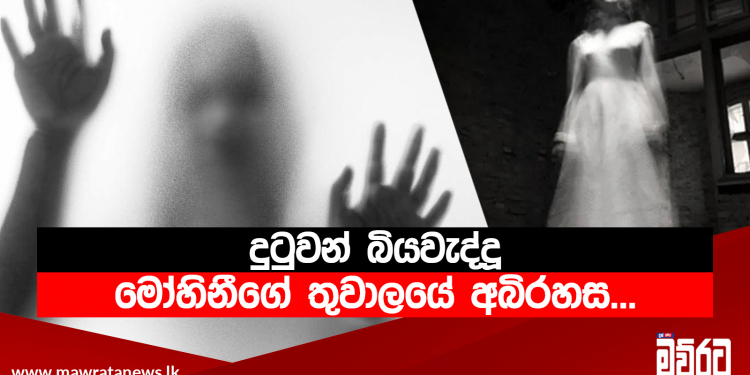 දුටුවන් බියවැද්දූ මෝහිනීගේ තුවාලයේ අබිරහස