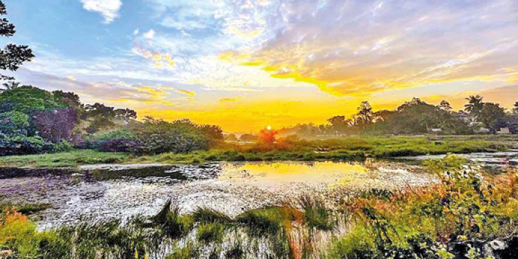 අලුතෙන් ගහපු ගැසට් එකෙන් තලංගම තෙත්බිම යට කරන් කණු උඩින් හයිවේ එක යයි!