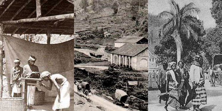ජනතාව කබලෙන් ලිපට දාපු ටොරින්ටන් බදු