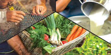 කොමර්ෂල් ‘කෘෂි රන් ණය’ මගින් අඩුම රන් ණය උකස් පොලියක්