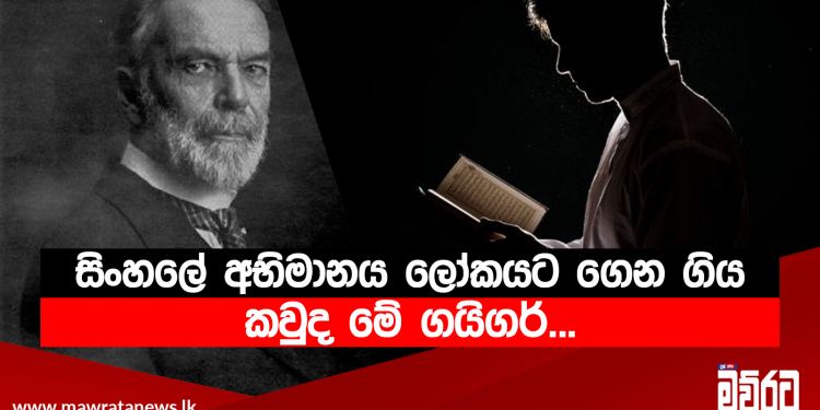 සිංහලේ අභිමානය ලෝකයට ගෙන ගිය කවුද මේ ගයිගර්