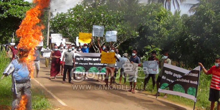 කීර වැවිලිකරුවෝත් පොහොර ඉල්ලා ඇමතිගේ පඹයෙක් පුච්චයි!