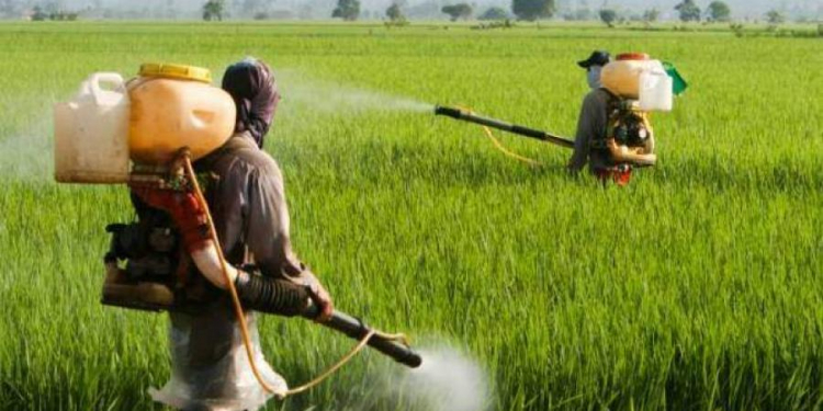 රසායනික පොහොර ගේන කතා බොරු.. කිංග්ස්ලි කියයි…