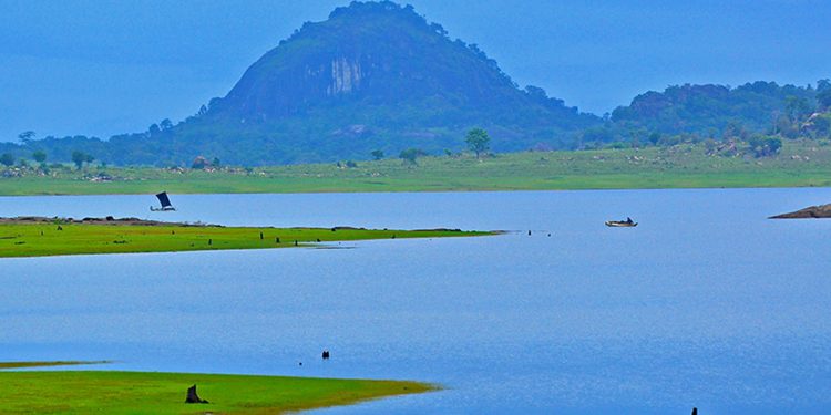 ලෝකයම මවිත කළ මාදුරු ඔයේ ගල් සොරොව්ව…